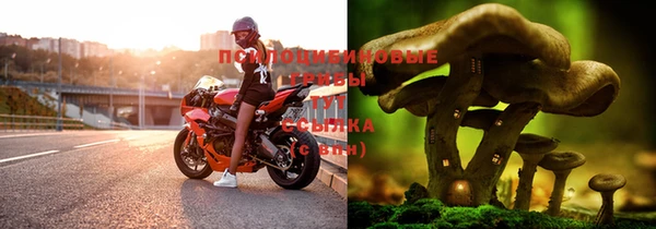 дживик Абинск