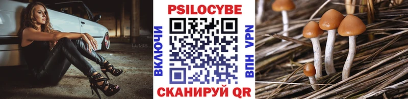 Галлюциногенные грибы MAGIC MUSHROOMS купить цена Уфа